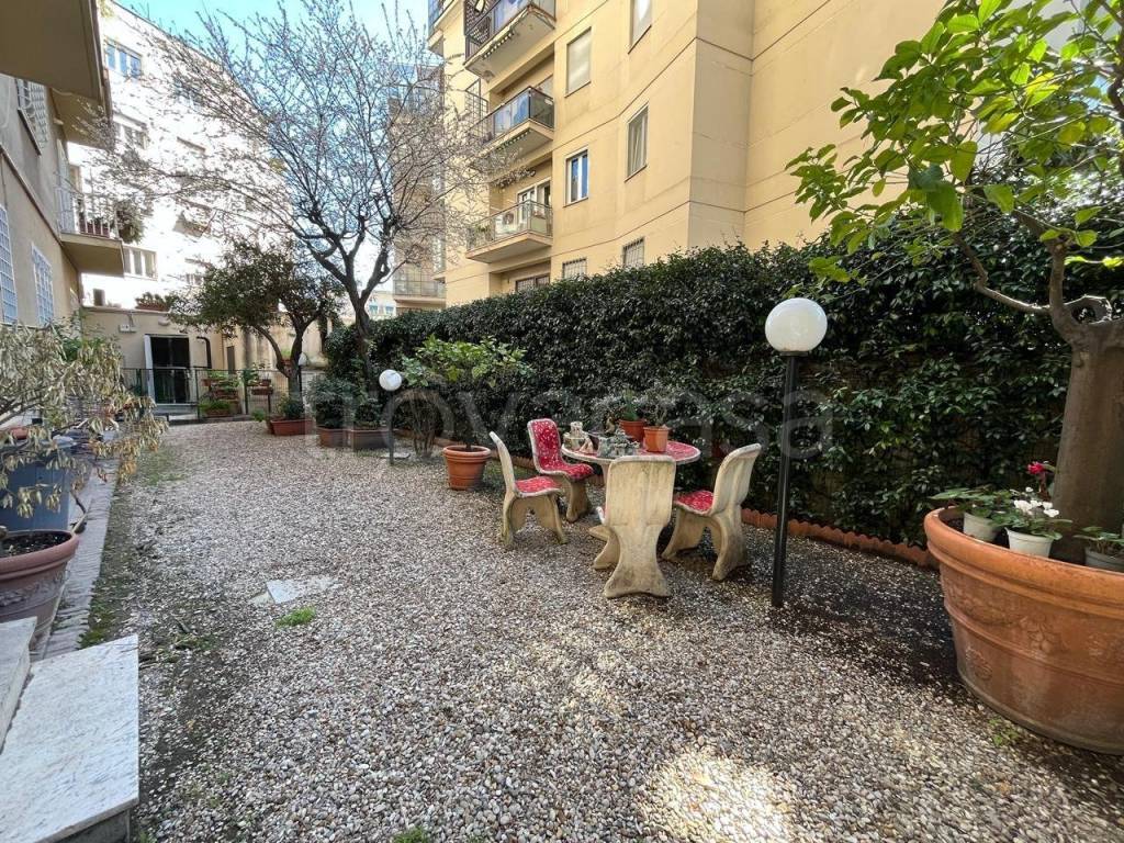immagine annuncio 1 di 6