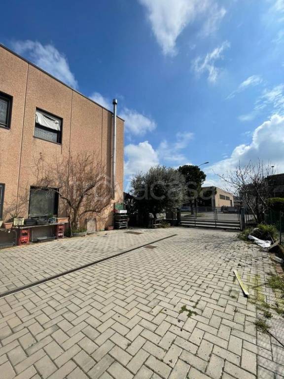 immagine annuncio 2 di 15