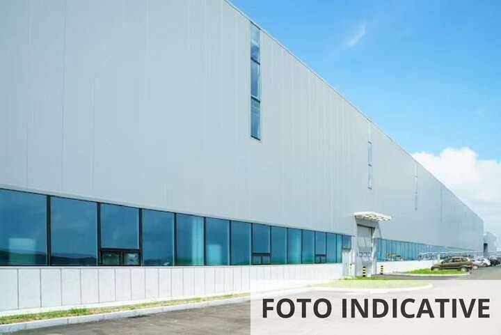 immagine annuncio 6 di 14