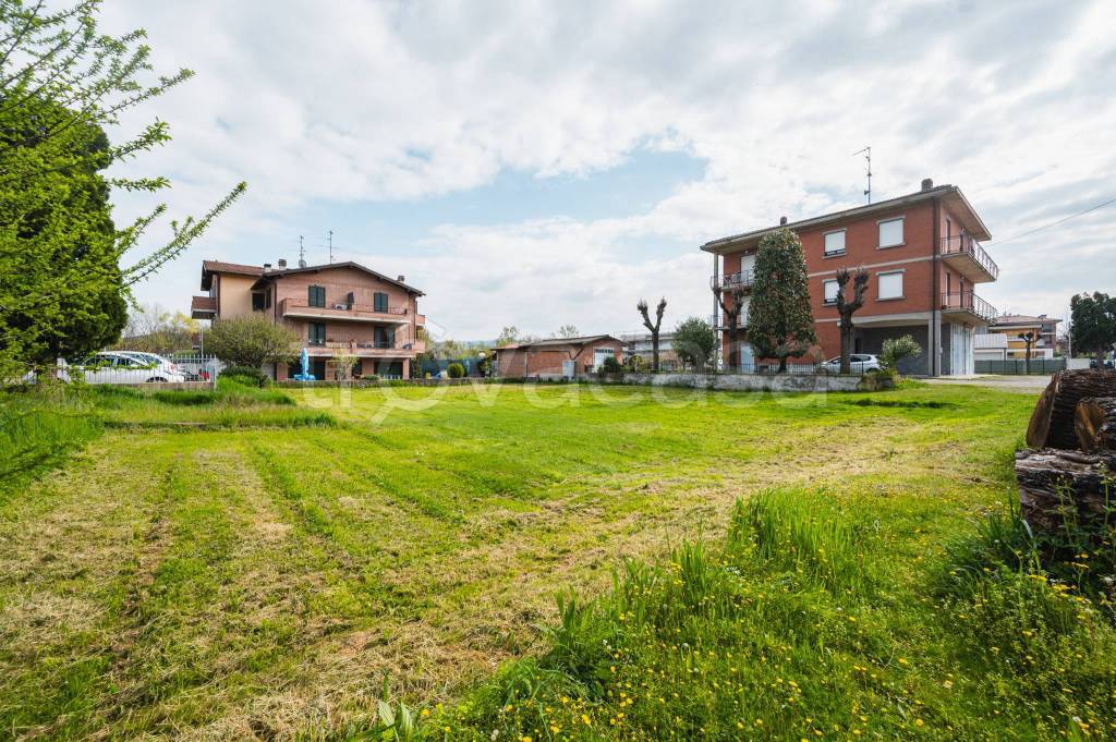 immagine annuncio 2 di 8