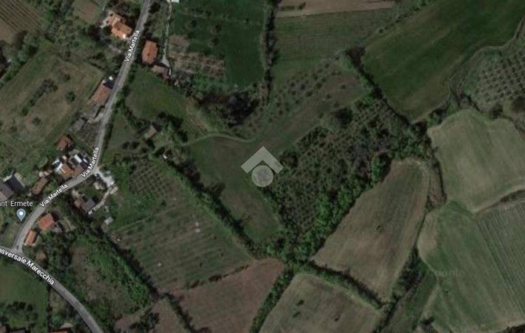 immagine annuncio 9 di 14