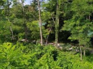 Terreno agricolo all'asta a noventa di piave noventa di piave