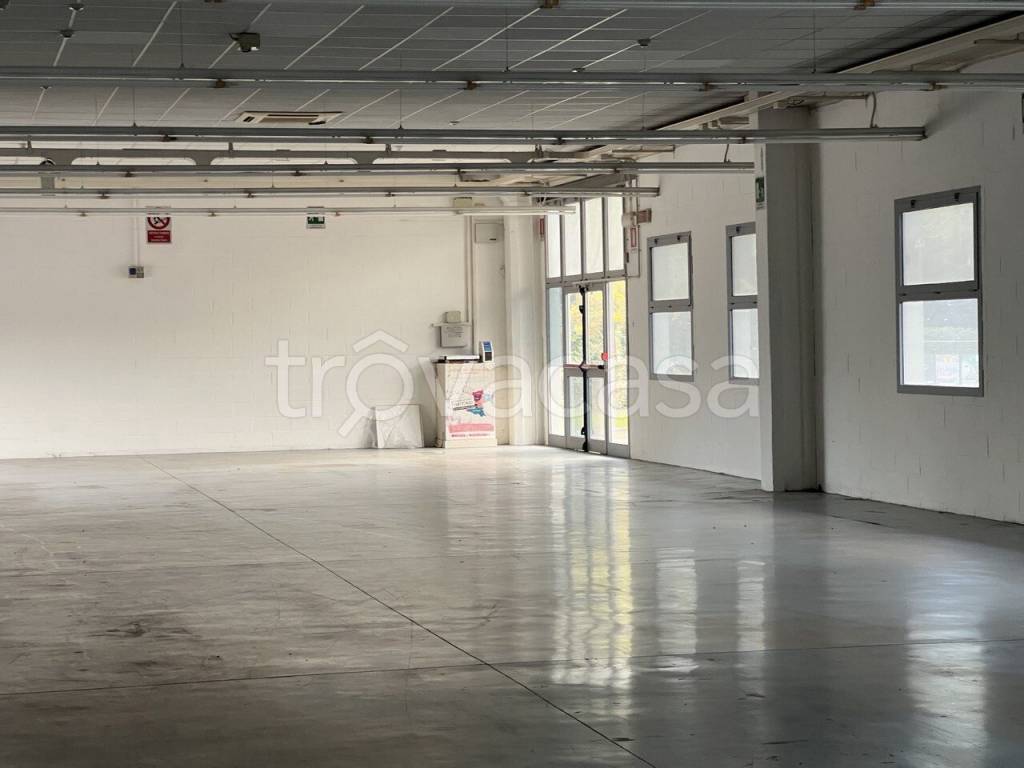 immagine annuncio 8 di 14
