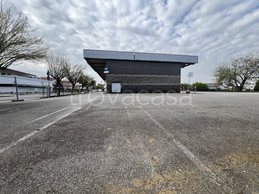 immagine annuncio 12 di 14
