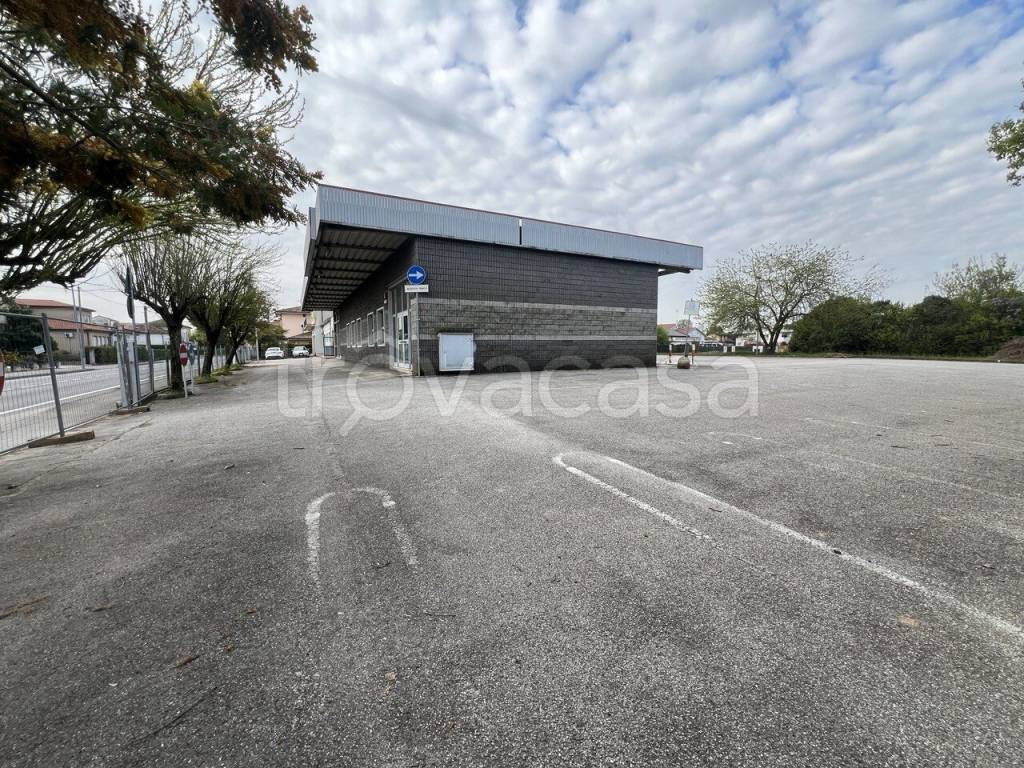 immagine annuncio 13 di 14