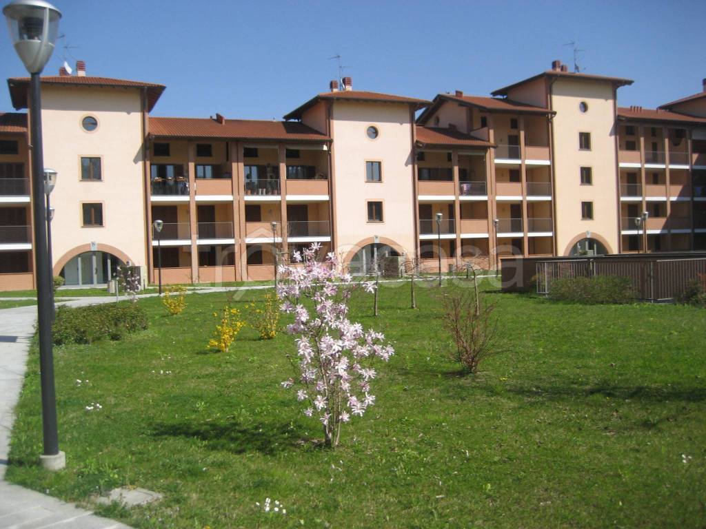 immagine annuncio 6 di 11