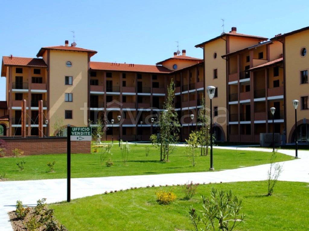 immagine annuncio 7 di 11
