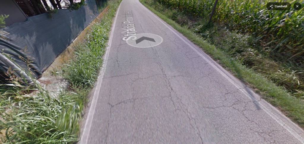 immagine annuncio 5 di 14