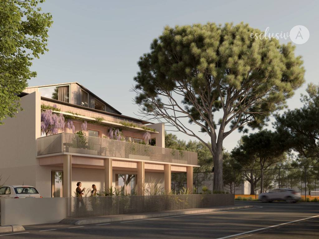 immagine annuncio 1 di 14