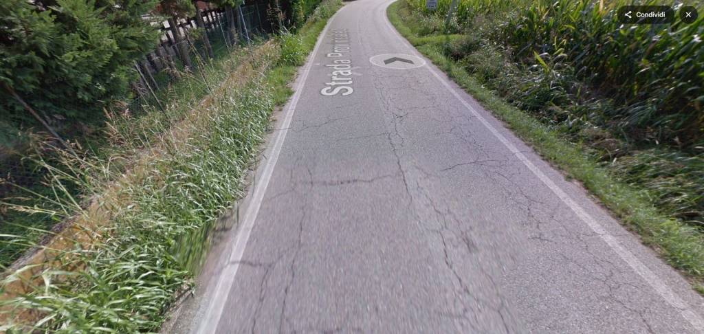immagine annuncio 6 di 14