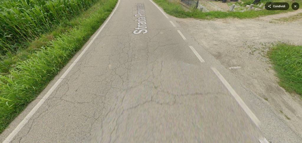 immagine annuncio 12 di 14