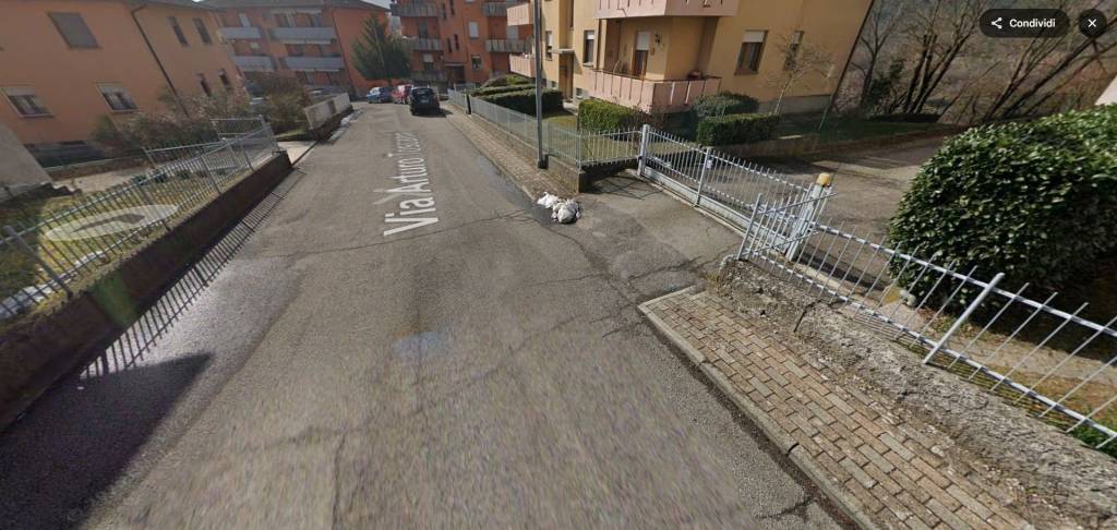 immagine annuncio 7 di 12