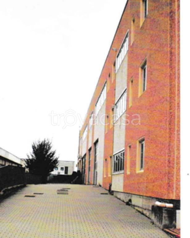 immagine annuncio 4 di 12