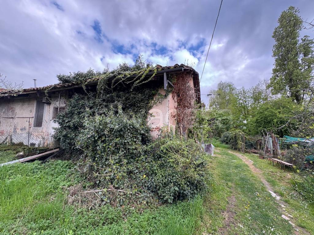immagine annuncio 6 di 9