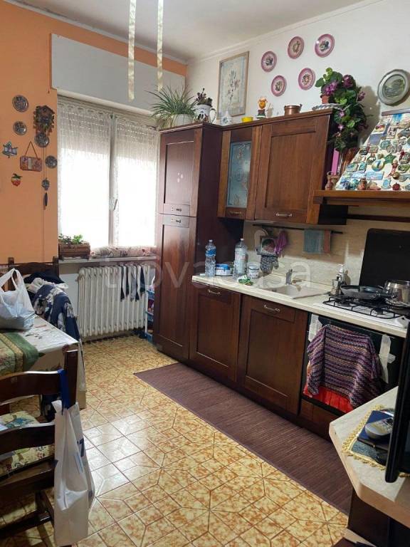 immagine annuncio 11 di 14