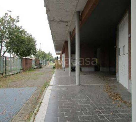 immagine annuncio 6 di 15