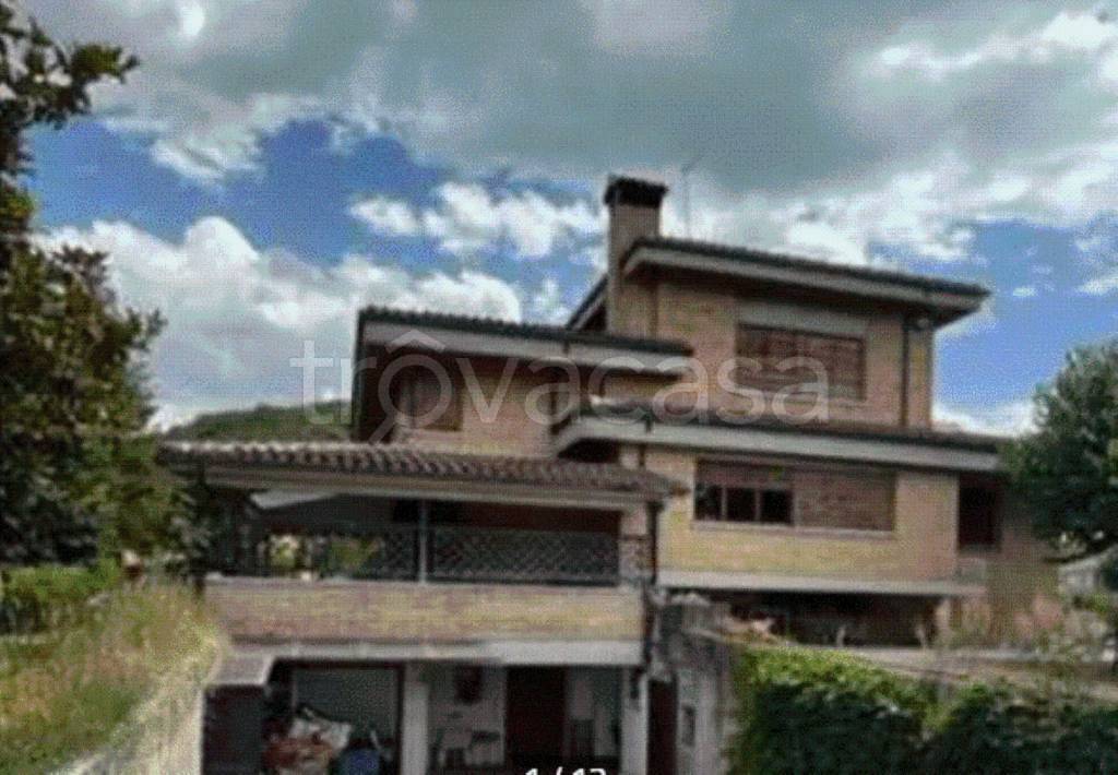 immagine annuncio 11 di 12