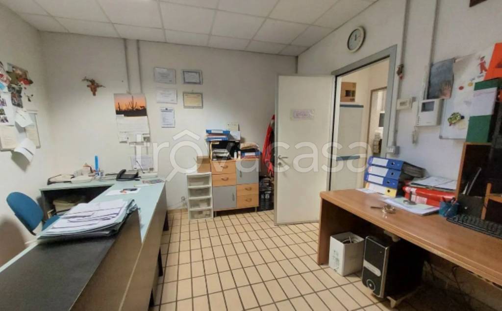immagine annuncio 12 di 13