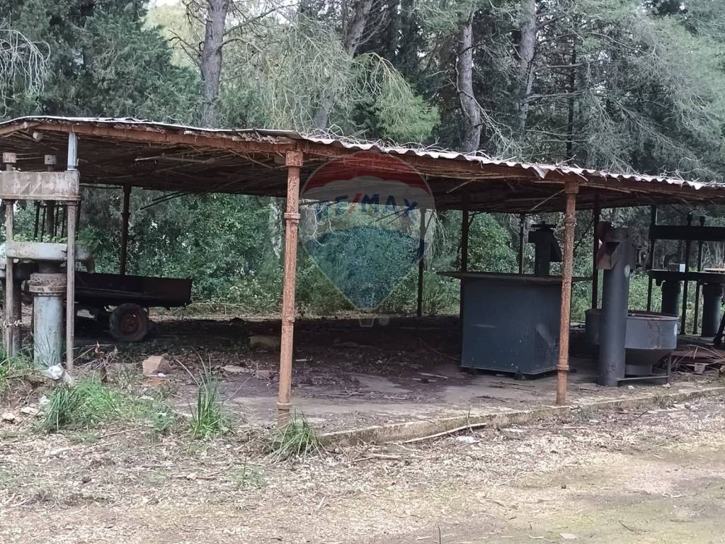 immagine annuncio 8 di 12