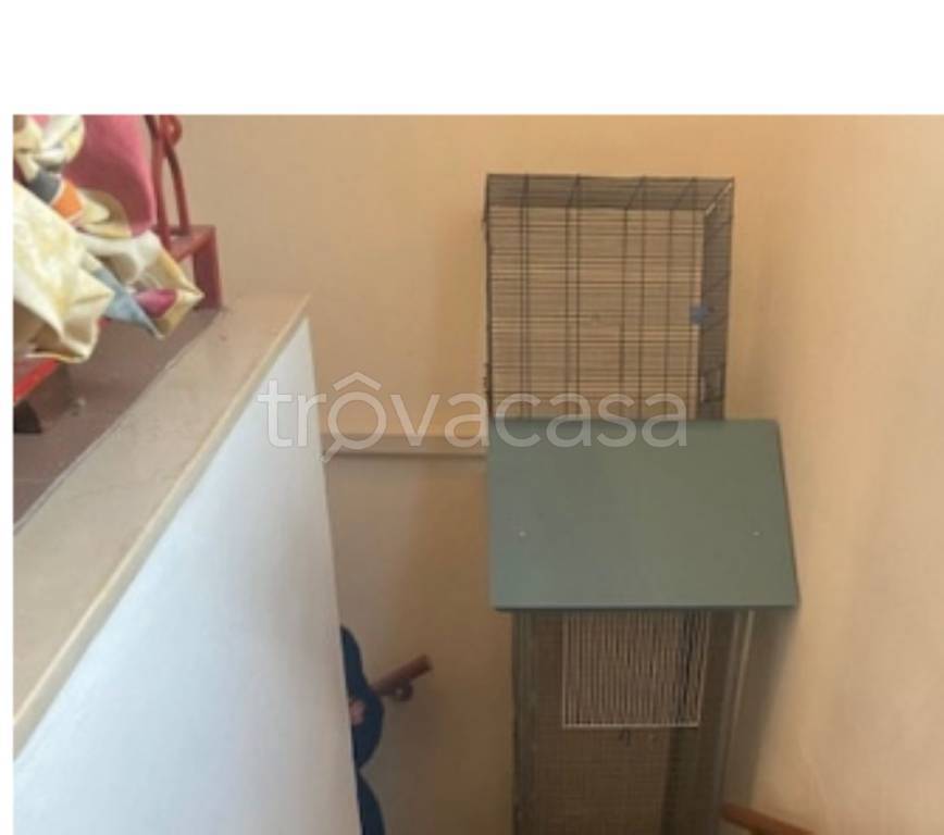 immagine annuncio 7 di 14