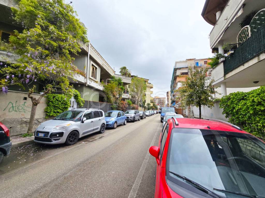 immagine annuncio 8 di 12