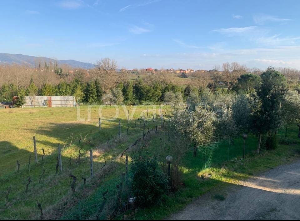 immagine annuncio 6 di 8