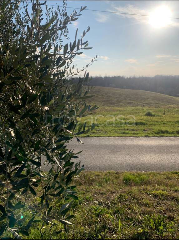 immagine annuncio 3 di 8