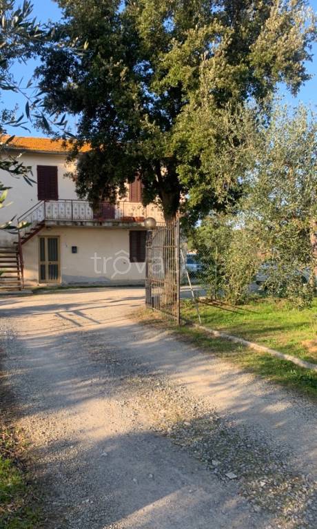 immagine annuncio 4 di 8