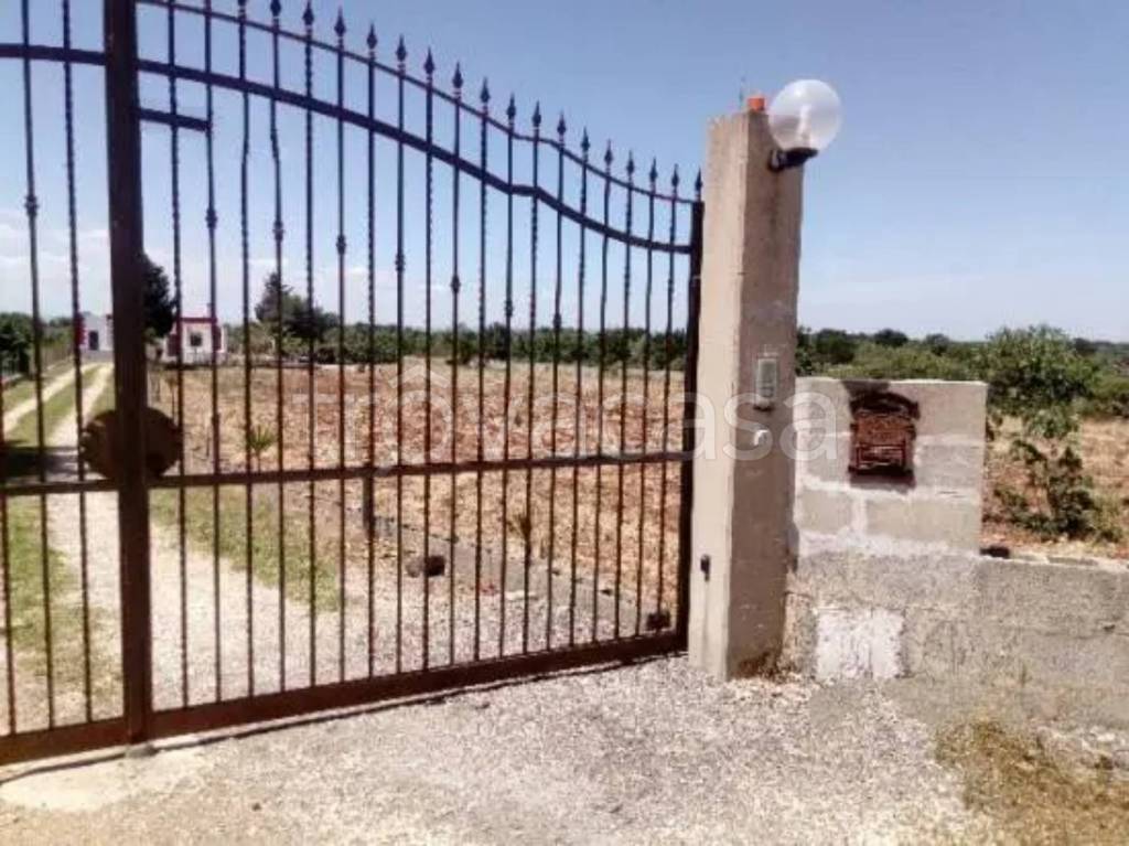 immagine annuncio 5 di 6