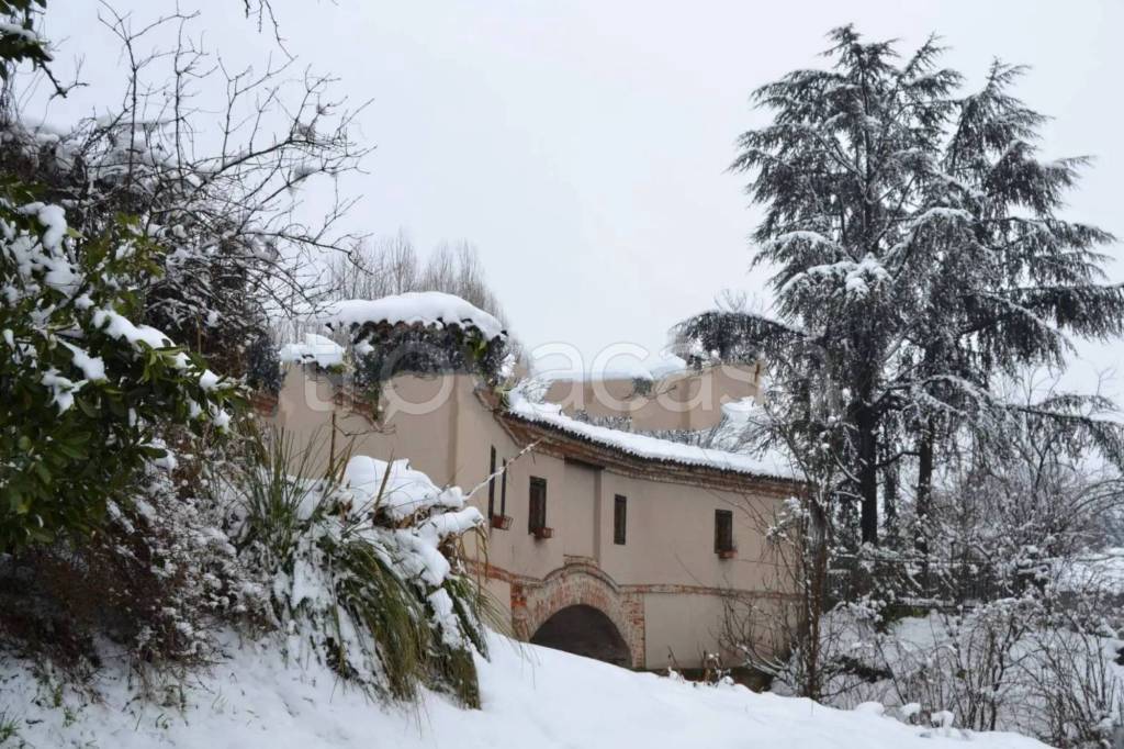 immagine annuncio 6 di 11