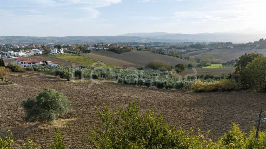 immagine annuncio 4 di 12