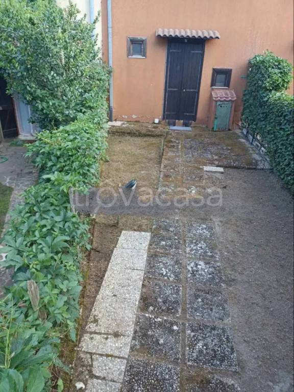 immagine annuncio 2 di 12