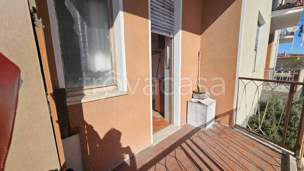 immagine annuncio 5 di 14