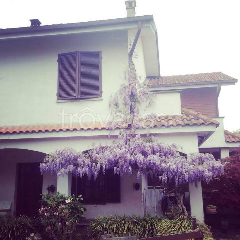 immagine annuncio 8 di 9