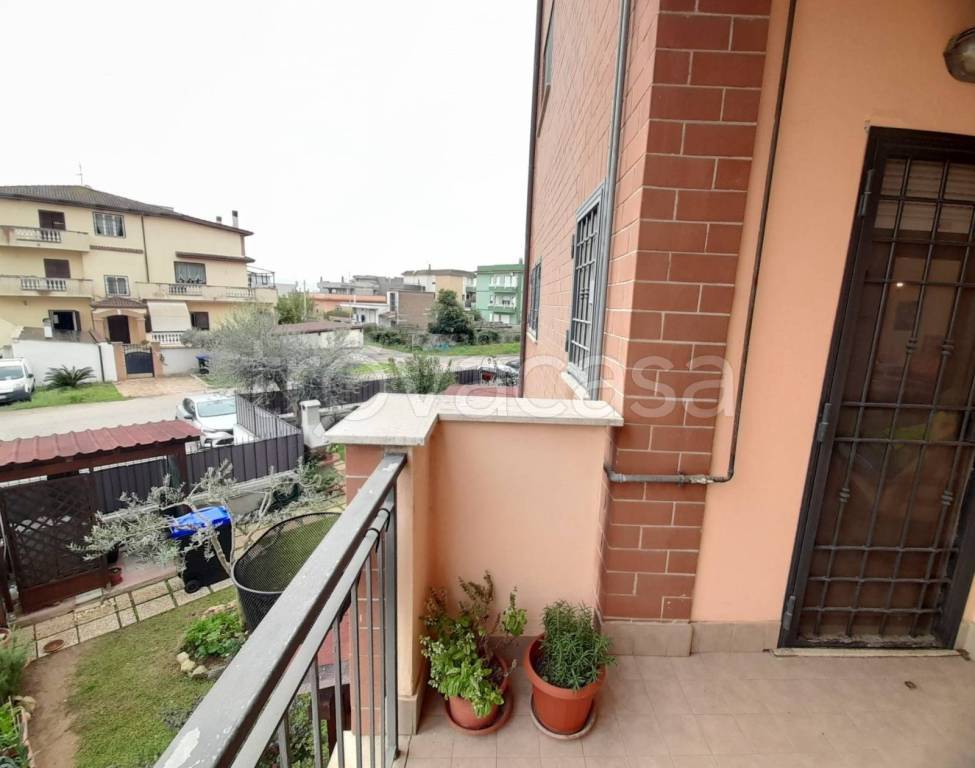 immagine annuncio 6 di 14