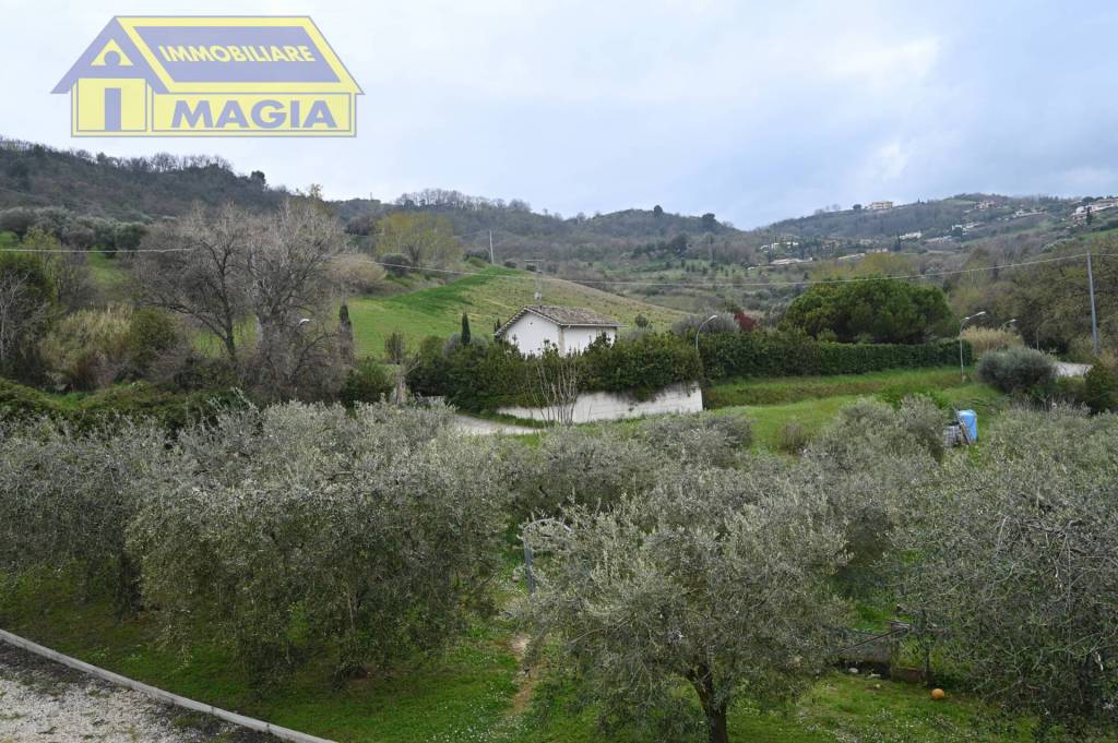 immagine annuncio 5 di 8