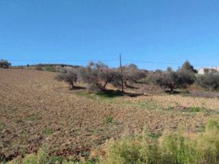 Terreno agricolo all'asta a castiglione messer raimondo ss81