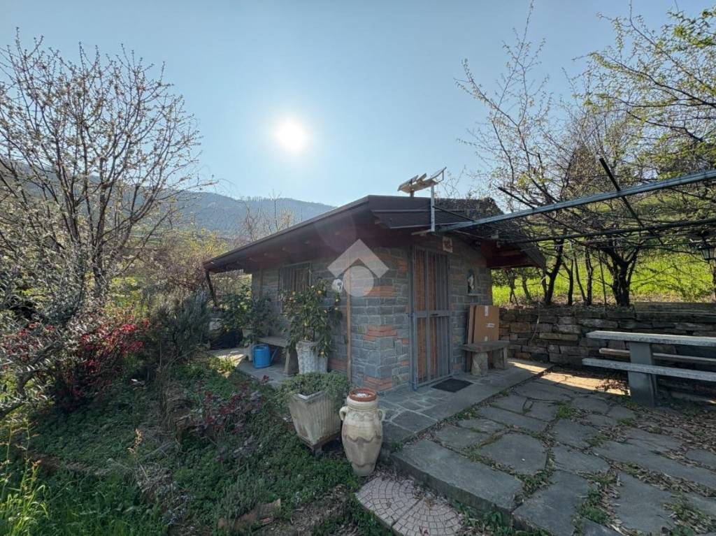 immagine annuncio 8 di 15