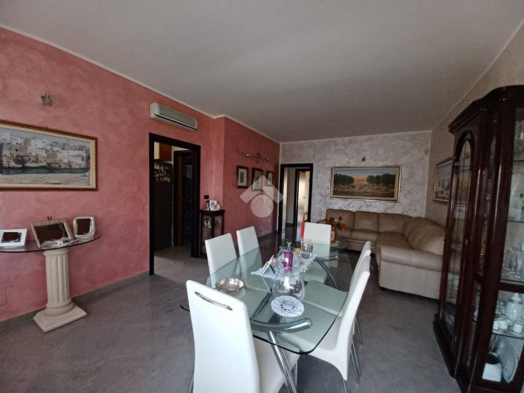 immagine annuncio 3 di 12