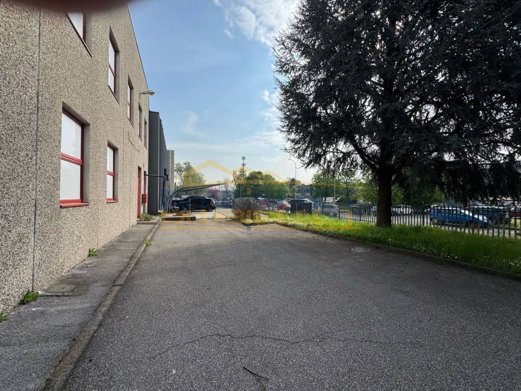 immagine annuncio 12 di 15