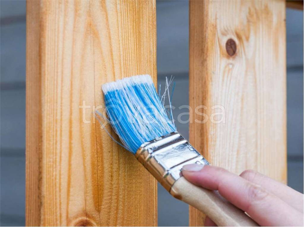 immagine annuncio 9 di 12