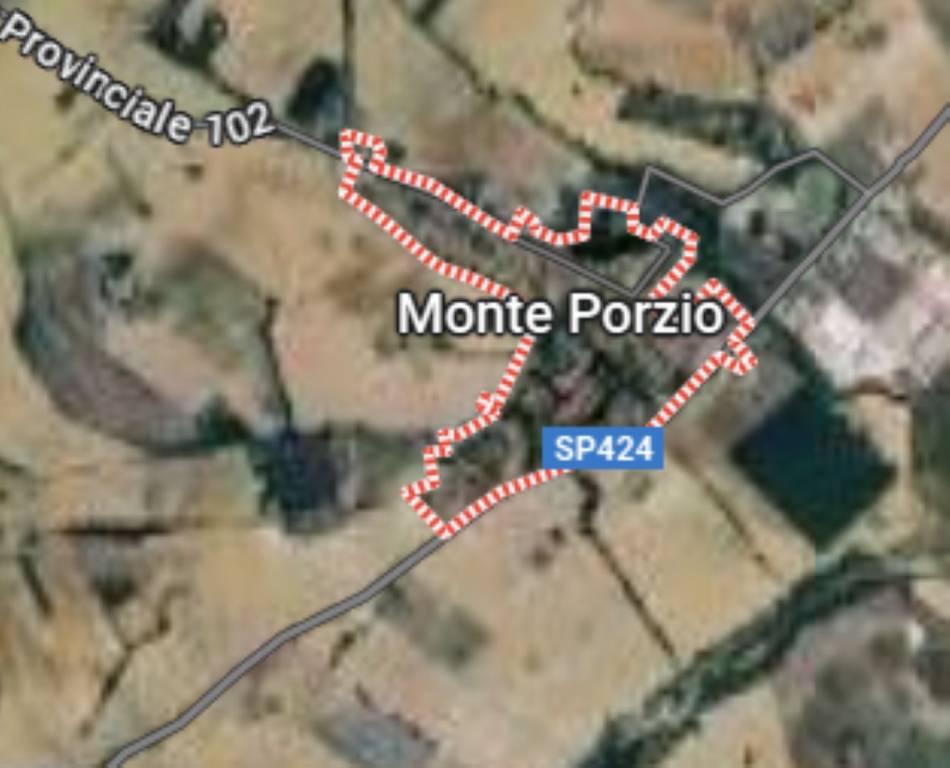 immagine annuncio 4 di 9
