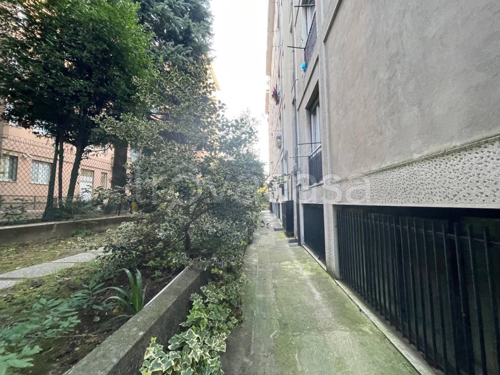 immagine annuncio 9 di 11