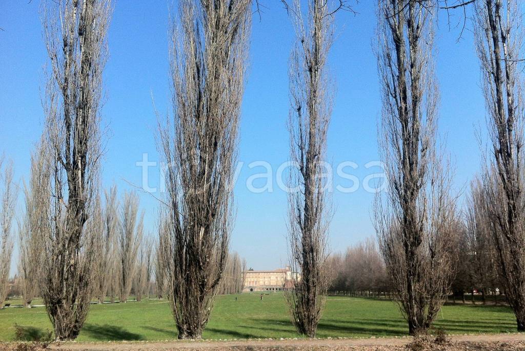 immagine annuncio 7 di 11