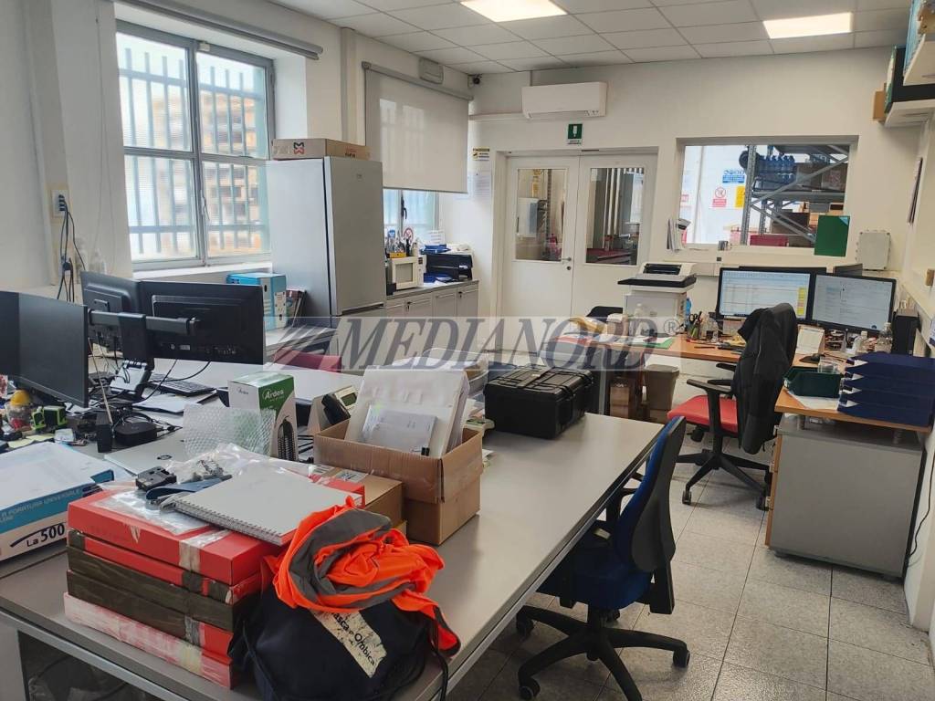 immagine annuncio 9 di 12