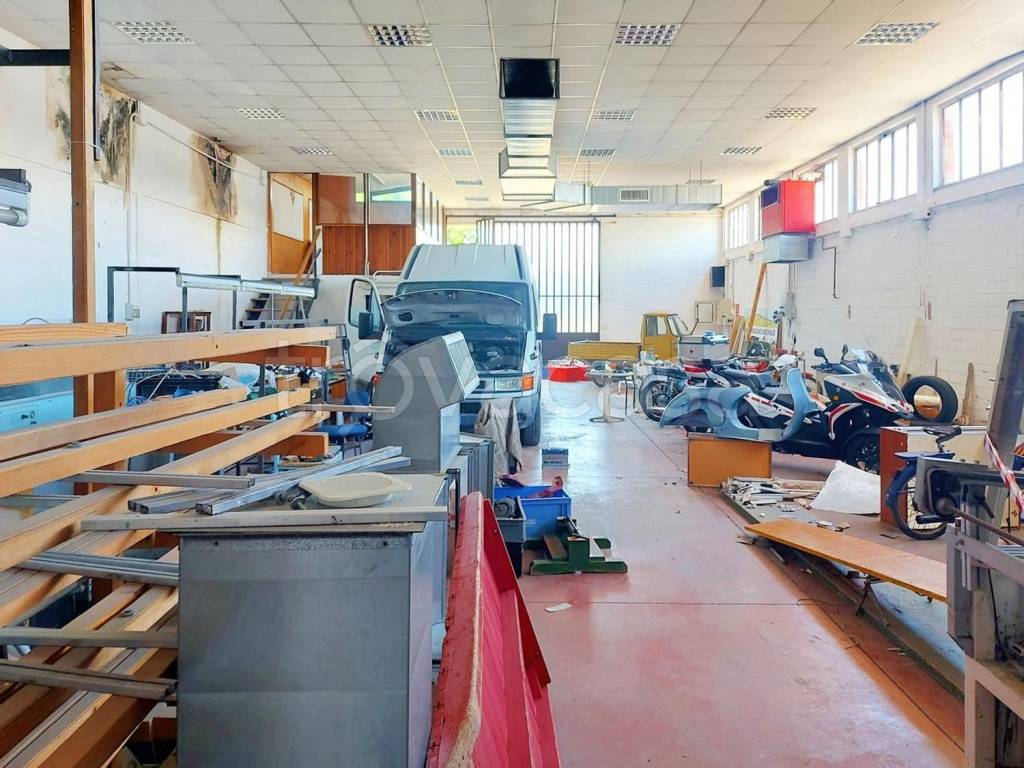 immagine annuncio 13 di 15