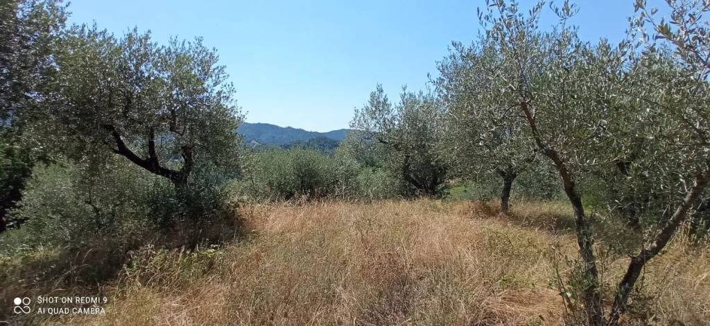 immagine annuncio 4 di 13