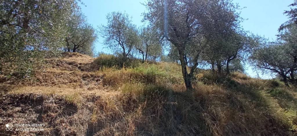 immagine annuncio 6 di 13