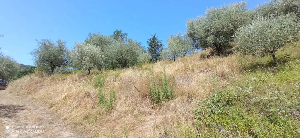 immagine annuncio 8 di 13