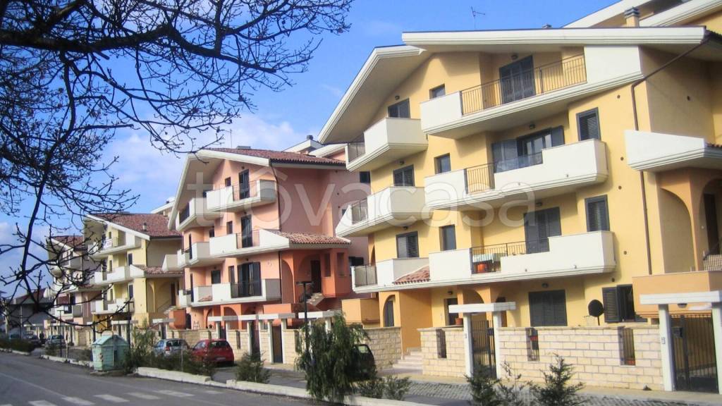 immagine annuncio 3 di 7